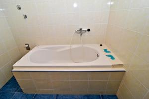 a bath tub with a shower in a bathroom at Paklina apartments in Starigrad-Paklenica +11 photos