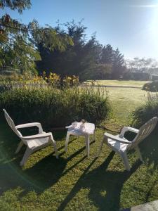 2 Stühle und ein Tisch im Gras in der Unterkunft Las Macluras Suite in Tandil