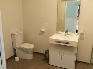 a bathroom with a toilet and a sink and a mirror at Appartement PMR 4 pers, plage, piscine chauffée, parking, animaux admis - FR-1-194-254 in La Tranche-sur-Mer +15 photos