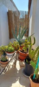 Fotografie z fotogalerie ubytování Casa Simon ve Vieste + 57 fotografií