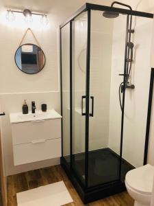 a bathroom with a shower and a sink at Modrynowe Domki in Wetlina