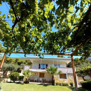 a house with palm trees in the yard at Relaxing Country house Porto Vito in Aigosthena