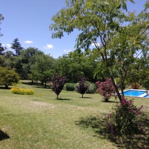 ein Park mit Bäumen und Blumen und einem Swimmingpool in der Unterkunft Llanten Dorado Cabañas in Villa Giardino
