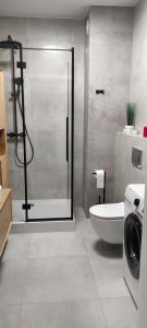 een badkamer met douche, toilet en wastafel bij Jedynka SUDOVIA Ełk in Ełk