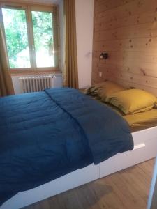 ein Bett mit blauer Decke in einem Schlafzimmer in der Unterkunft Tres bel appartement dans une maison avec SPA in Séez