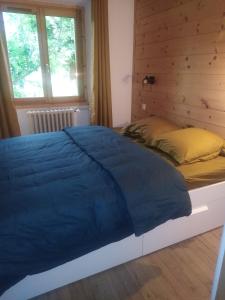 - un lit avec une couette bleue dans une chambre dans l'établissement Tres bel appartement dans une maison avec SPA, à Séez