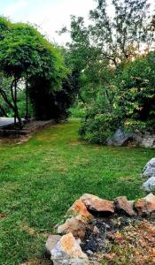 un montón de rocas en un patio con árboles en Trieste for you with Nature&Hiking, 