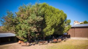 a group of benches sitting under a large tree at Casa rural Arribes Vida in Vitigudino