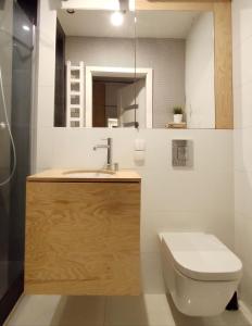 APARTAMENT STAROWIEJSKA 33 في غدينيا: حمام مع مرحاض ومغسلة ومرآة