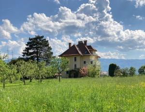 an old house in the middle of a field at Vila Mir - Apartment in Begunje na Gorenjskem