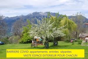 ル・ソーズにあるLe Clos Du Bergerの山を背景に植えられた庭の花木