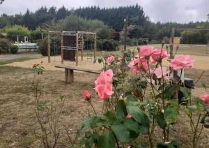 a park with a bench and a playground with pink roses at Mobil-home "Le pin bleu" à St-Paul-les-Dax in Mées