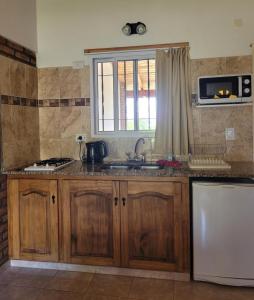uma cozinha com um lavatório e um micro-ondas em Llanten Dorado Cabañas em Villa Giardino