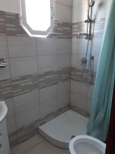 ein Bad mit einer Dusche, einem WC und einem Waschbecken in der Unterkunft Aria in Porto Santa Margherita