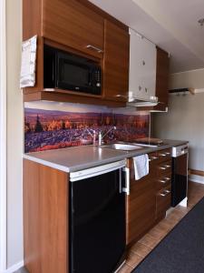 Levin Alppitalot Alpine Chalets Deluxe Levi Updated 22 Prices
