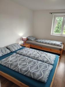 a bedroom with two beds and a window at U Petíse in Horní Blatná