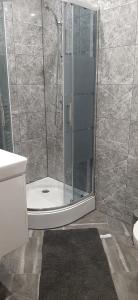 baño con ducha y puerta de cristal en Agroturystyka Na górce u Barbary - domek letniskowy en Lesko