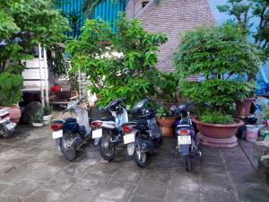 un grupo de motocicletas estacionadas junto a algunos árboles en HOTEL Bồ Câu, en Can Tho