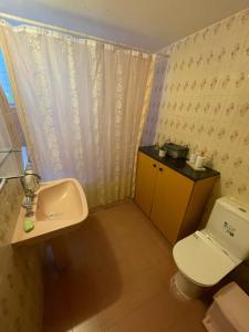een badkamer met een wastafel en een toilet bij Casa Di Anna in Agros