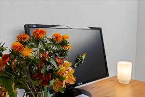 TV/trung tâm giải trí tại Guerneville Escape Redwoods Deck BBQ Fire table