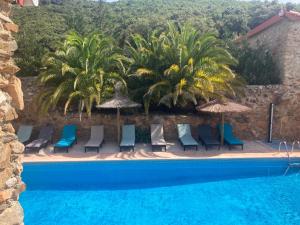 - une piscine avec des chaises, des parasols et des palmiers dans l'établissement Mas Picagnol, à Oms