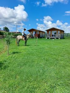 Gallery image of Eco house in Akuaska in Ochamchira