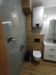 Kúpeľňa v ubytovaní Apartament Antolka + 20 fotografií