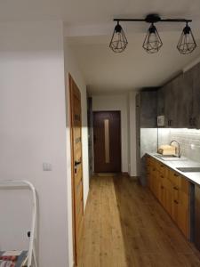 Kuchyňa alebo kuchynka v ubytovaní Apartament Antolka