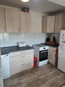 a kitchen with white appliances and wooden cabinets at U Petíse in Horní Blatná +21 photos
