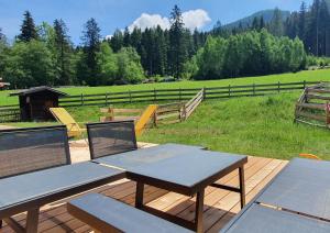 Naturlandschaft in der Nähe der Ferienwohnung