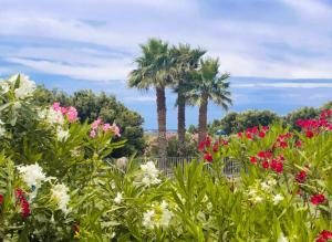 dos palmeras en un jardín con flores rosas en Lugh'e Luna Village, en Narbolia