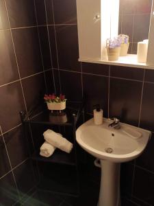a bathroom with a sink and a mirror at ALEXANDER APARTMENT'S in Kallithea Halkidikis