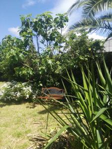 Ogród w obiekcie Pisos Vistalegre 2B con jardín cerca del mar