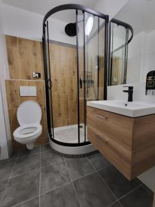 a bathroom with a shower and a toilet and a sink at Apartmány hotelu Ostrý in Železná Ruda +28 photos