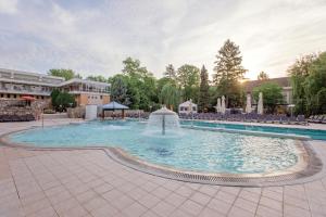 una gran piscina con una fuente en un patio en Hotel Termal, en Băile Felix