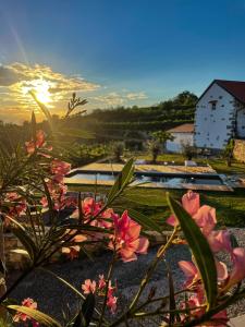 uma vista para um jardim com flores no primeiro plano em Škerlj Wine Estate em Tomaj