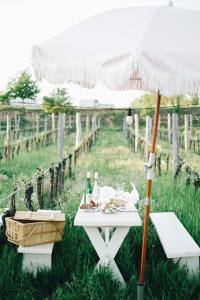 a picnic table under an umbrella in the grass at Heurigenhof Bründlmayer in Langenlois