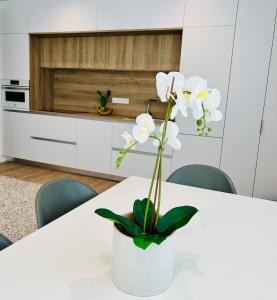Fotografie z fotogalerie ubytování BEST LOFT NEAR REAL MADRID STADIUM v destinaci Madrid