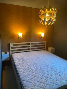 a bedroom with a large bed and a chandelier at Spacieux & Chaleureux Apt avec vue panoramique in Orcières