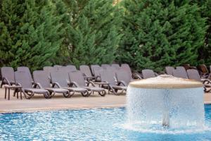 Bazén v ubytování Hotel International nebo v jeho okolí