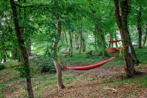 a hammock in the middle of a forest at Hotel International in Baile Felix