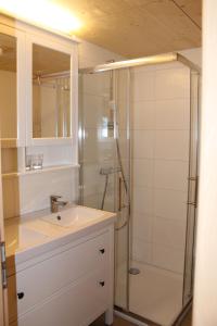 La salle de bains est pourvue d'un lavabo et d'une douche. dans l'établissement Sporthotel Oberwald, à Oberwald