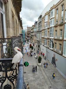 Hosté ubytování CarreraHouses Gaivota