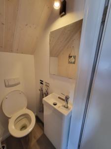 a small bathroom with a toilet and a sink at SERW in Władysławowo