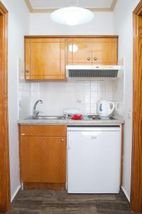 Kuchyň nebo kuchyňský kout v ubytování Nikos Studios and Apartments