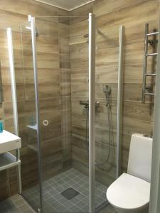 a bathroom with a shower with a toilet at Hotel Arctic Zone in Ruka