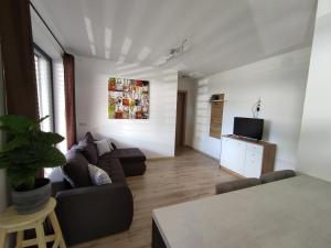 ein Wohnzimmer mit 2 Sofas und einem TV in der Unterkunft Apart Katja in Längenfeld