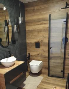 La salle de bains est pourvue de toilettes, d'un lavabo et d'une douche. dans l'établissement Apartament Piaskowa Duna, à Mechelinki