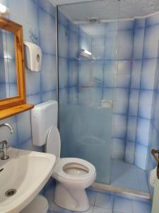 een badkamer met toilet, wastafel en douche bij Fotula Studios in Agia Pelagia +48 foto's