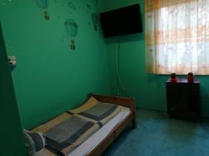 Dormitorio verde con cama y TV en Erzsébet Vendégház, en Szarvas